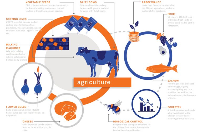 AFB_infographic_agriculture_ENG